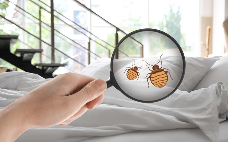 carpet cleaning in NYC, carpet cleaning in new york, carpet cleaning NYC, carpet cleaners in NYC, carpet cleaners in new york, commercial carpet cleaning, commercial carpet cleaning in NYC, NYC rug cleaners, rug cleaning services in NYC, same day carpet cleaning, same day rug cleaning